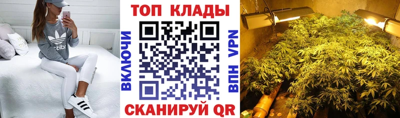 Где продают наркотики Звенигово Alpha-PVP  МАРИХУАНА  Codein  COCAIN 