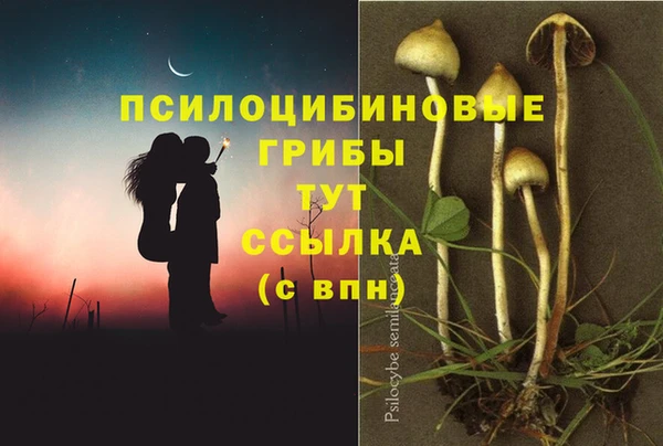 каннабис Алексеевка