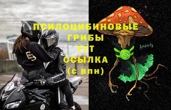 шишки Алзамай
