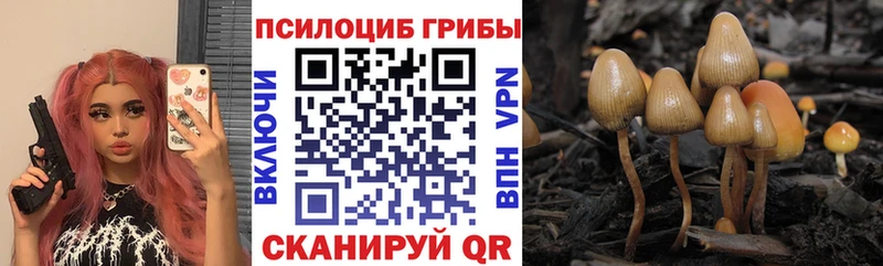 цена наркотик  ОМГ ОМГ вход  Галлюциногенные грибы Psilocybine cubensis  Звенигово 